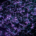 Abstract image, for decoration only